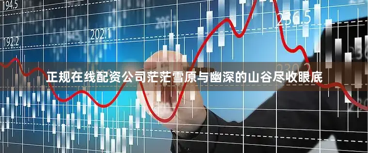 正规在线配资公司茫茫雪原与幽深的山谷尽收眼底